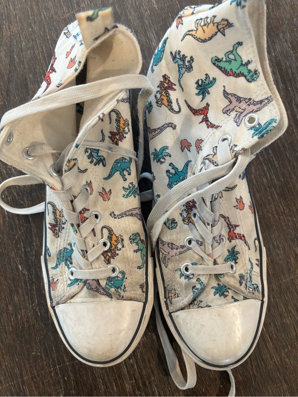 Dinosaur Canvas High-Top Sneakers (6)